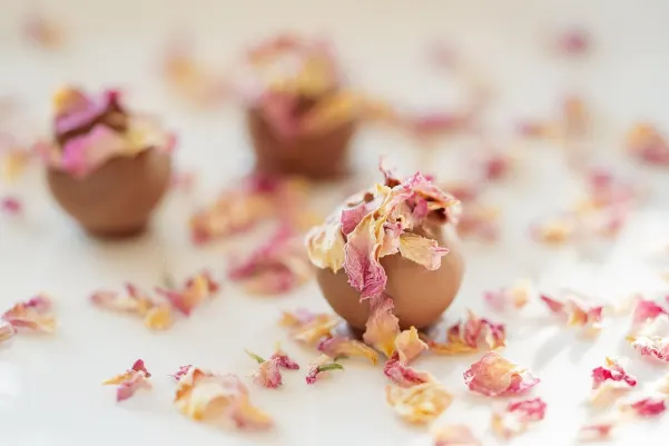 Bet9 Cazino Cazinou Aplicație Android/iOS